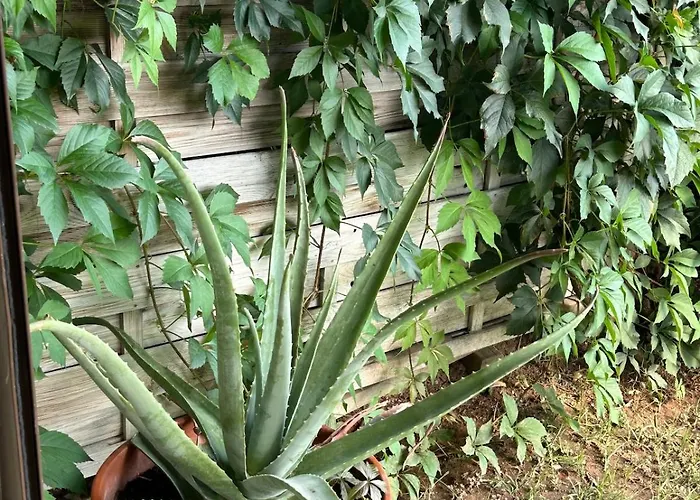 Aegean View ! Дом отдыха *